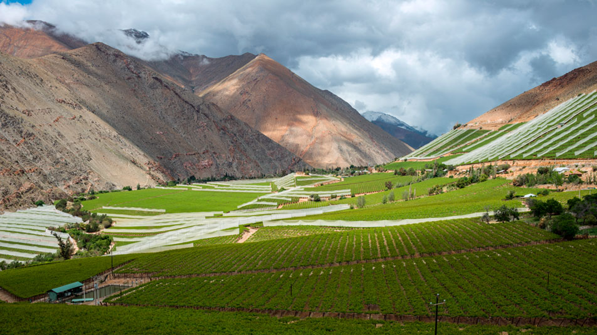 Valle